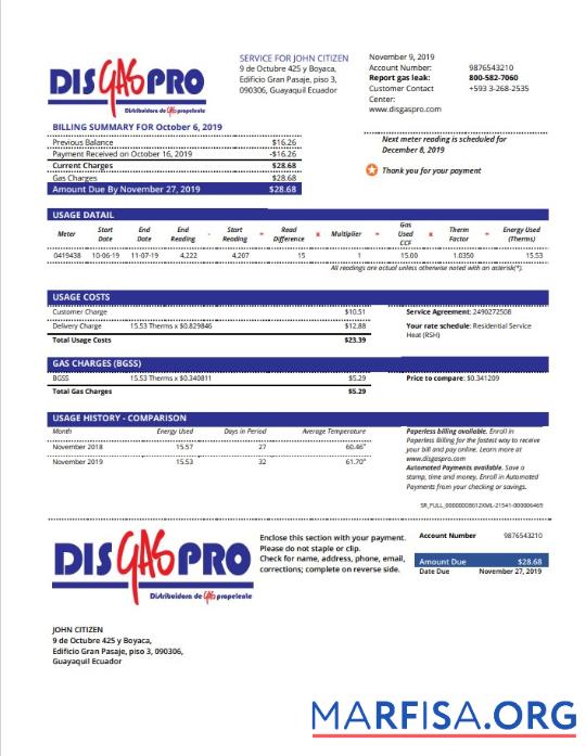 Blank Ecuador Disgaspro gas utility bill template in Word and PDF format